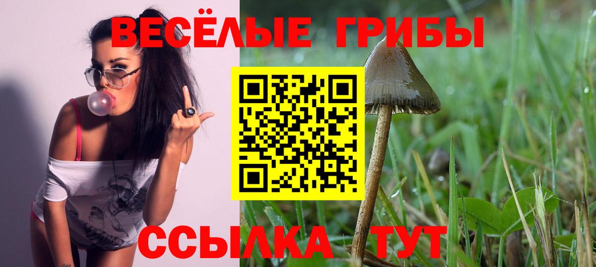 Галлюциногенные грибы ЛСД  Вход с VPN  Бахчисарай  Галлюциногенные грибы прущие грибы 